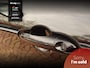 Alfa Romeo Stelvio 2.0 T AWD | Tr.hk | Savali | Dash-Cam | 310PK | Carplay | Camera | Flippers