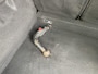 Renault Clio 1.2 TCe Intens GT | afn. trekhaak | 17" lichtmetalen velgen | Licht- en regensensor | Stoelverwarming | All Season banden |