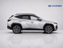 Hyundai Tucson 1.6 T-GDI PHEV Premium NL-Auto, Meest Luxe Uitvoering!