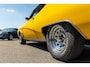 Buick Skylark Origineel NL I 31 jaar in bezit van 2e eigenaar I Keurige staat I LPG I Wegenbelastingvrij I Vrijstelling APK-plicht