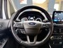Ford EcoSport 1.0 EcoBoost Active. Winterpakket Leer