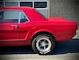 Ford Mustang GT / V8 289 / C-code / Automatic / Restored / American Racing Wheels / 1966!