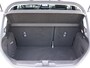 Ford Fiesta 1.0 EcoBoost Titanium | Panoramadak | Stoel, stuur en voorruitverwarming | B&O Audio | Achteruitrijcamera |