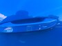Opel Astra 1.2T HYBRID GS Navi, Airco Ecc., Lichtmetalen velgen, Head Up Display