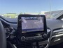 Ford Fiesta 1.0 EcoBoost Titanium | 100 pk | Achteruitrijcamera | Voorruitverwarming |