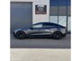 Tesla Model 3 Standard Range HIGHLAND + MMX PACK + TREKHAAK