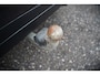 BMW iX3 High Executive 80 kWh | Panoramadak | Harman Kardon | Stoelverwarming | Adaptive Cruise Control | Head-Up Display | Memory Seat | 360 Camera | Ambiance Verlichting | Adaptief Onderstel | Adaptive LED | Trekhaak |