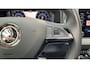 Skoda Karoq 1.0 TSI Style Business Panoramadak