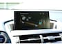 Lexus NX 300h Business Line Aut. Navi|Cam|LMV|Half Leder