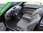 Volkswagen Beetle Cabriolet Turbo Exclusive Series Cabriolet APPLE CARPLAY-ANDROID/STOELVW/PDC/ETC.!