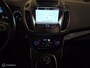 Ford Grand C-Max 1.5 EcoBoost 150pk Titanium 7 persoons trekhaak