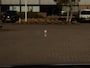 Volkswagen Golf 2.0 TSI GTI | Leder | Stoel koeling/verwarming | Camera | Harman Kardon | Panoramadak | Elektrisch verstelbare stoelen met geheugen |