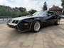 Pontiac Firebird 6.6 FW 87 Trans Am