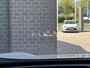 Toyota Yaris Cross 1.5 Hybrid Adventure Edition | Treeplanken | HUD |