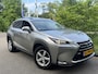 Lexus NX 300h AWD HYBRID 1:20 ! 1E EIG !