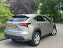 Lexus NX 300h AWD HYBRID 1:20 ! 1E EIG !