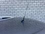 Renault Clio Estate 0.9 TCe Limited | Trekhaak | Navigatie | Parkeersensoren | Cruise Control |