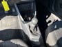 Kia Picanto 1.0 CVVT Comfort Pack VOLLEDIGONDERHOUD/CLIMA/LMV