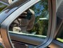Ford Focus Wagon 1.0 EcoBoost Hybrid ST Line | Winter Pack | Driver Assistent Pack | All Season Banden |