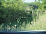 Kia EV6 GT-Line 77.4 kWh | SOH 100% | Panoramadak | Trekhaak | 360 Camera | Head-Up Display | MERIDIAN SURROUND |