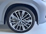 BMW X1 xDrive30e 326 PK | High Executive | Pano | Frozen Grey | Trekhaak | Leder | 20 inch