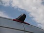 Mercedes-Benz Sprinter 314 2.2 CDI 366 HD | Personenbus met rolstoellift | Camera | Airco | Bluetooth | NL-Auto |