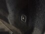 Volvo XC60 2.0 T6 Plug-in hybrid AWD R-Design | Panoramadak | Verwarmde stoelen | Keyless entry / start | Harman Kardon | Trekhaak |