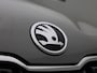 Skoda Karoq 1.5 TSI ACT Business Edition | Automaat | Apple Carplay / Android Auto | Parkeersensoren | Trekhaak |