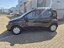 Fiat Panda 1.2 Edizione Cool