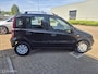 Fiat Panda 1.2 Edizione Cool
