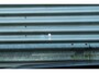 Volkswagen Golf 1.5 eTSI 150pk R-Line DSG7 Panoramadak IQ-Light