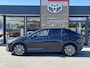 Lexus RZ 450e Executive Premium Pack | Panoramadak