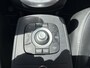 Renault Scenic 1.4 TCe Privilege CAMERA-MOMORY-STOELVERW