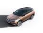 Opel Grandland GS | 7,4 kW boordlader | Draadloze telefoonlader (Inductie) | Elektronische klimaatregeling met twee zones