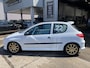 Peugeot 206 TRACKDAY 206 GTI CUP 2.0-16V GTI