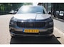 Skoda Kamiq 1.0 TSI Business Edition Camera/App-Connect!