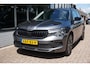 Skoda Kamiq 1.0 TSI Business Edition Camera/App-Connect!