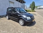 Fiat Panda 1.2 Edizione Cool