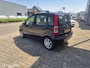 Fiat Panda 1.2 Edizione Cool
