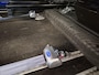 Ford Transit Custom L1H2 Rolstoelbus Automaat