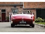 Austin Healey 100 Austin-healey 100M | Is not a factory-built 100M (including gold certificate) | Mille Miglia chosen