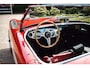 Austin Healey 100 Austin-healey 100M | Is not a factory-built 100M (including gold certificate) | Mille Miglia chosen