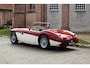 Austin Healey 100 Austin-healey 100M | Is not a factory-built 100M (including gold certificate) | Mille Miglia chosen