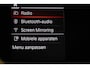 BMW 1-Serie 118i Business Edition | SPORT LINE | PANORAMADAK | SPORTSTOELEN | DAB | APPLE