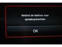 Fiat Panda Pandina 1.0 Cross Hybrid | COMFORT PACK | DAB | APPLE | PDC