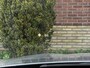 BMW X3 xDrive20i High Executive Dealer O.H.*Pano*Head-Up*Camera