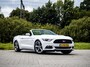 Ford Mustang USA 3.7 V6