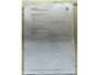 Volkswagen T-Roc 2.0 TSI 4Motion Sport Pano/Carplay/ACC/Camera