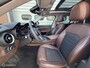 Alfa Romeo Stelvio 2.0 T AWD Super TREKHAAK|PANORAMADAK
