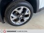 Jeep Compass 1.4 MultiAir Limited 4x4- Trekhaak-Stoel en stuurverwarming-Creme lederen bekleding-Zwart dak.